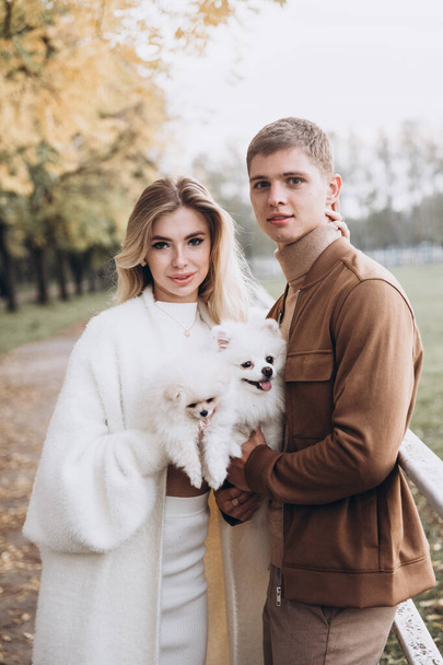 Beautiful young couple in autumn walks with dogs, pomeranian, in the park - Fotografie, Obrázek
