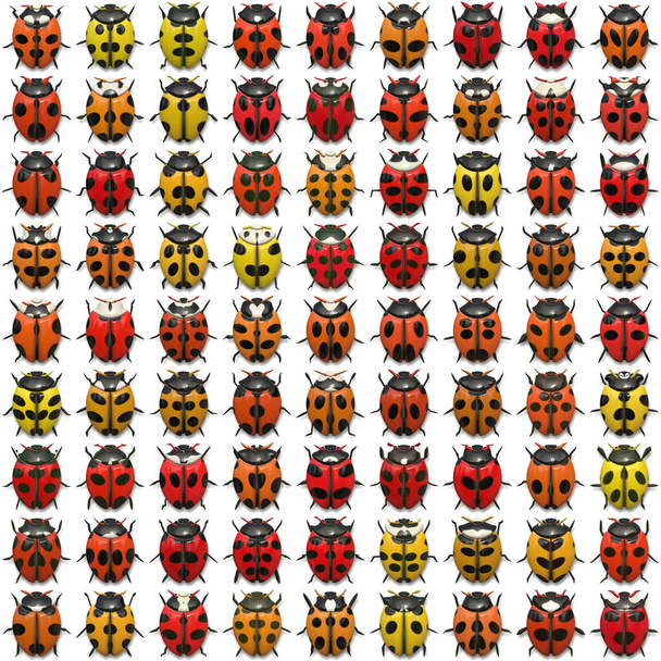 Seamless   pattern  with bugs - Foto, imagen