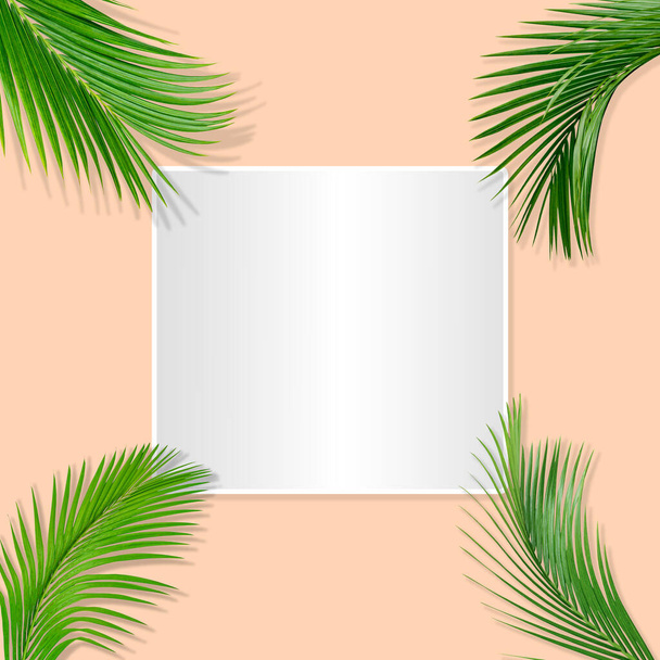 Doğa konsepti için yeşil palmiye yaprakları deseni, pastel kağıt arka planda tropikal yaprak - Fotoğraf, Görsel