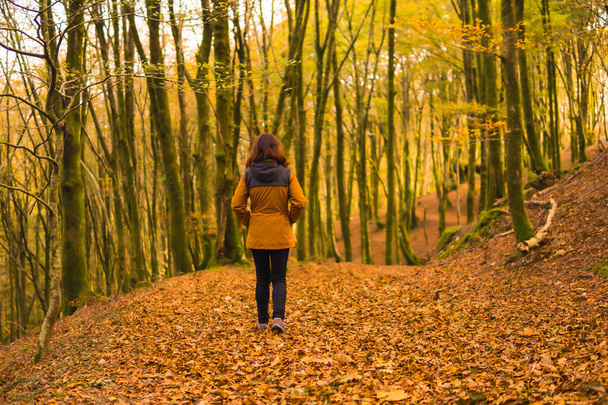 Autumn lifestyle, a young woman in a yellow jacket in a forest full of trees. Artikutza Forest in San Sebastin, Gipuzkoa, Basque Country. Spain - Foto, imagen
