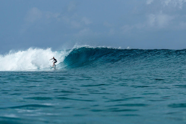 Surfer on perfect blue aquamarine wave, empty line up, perfect for surfing, clean water, Indian Ocean close to Maldivian island Himmafushi - Foto, immagini