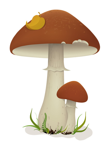 Mushrooms with leaf and grass - Vector, imagen