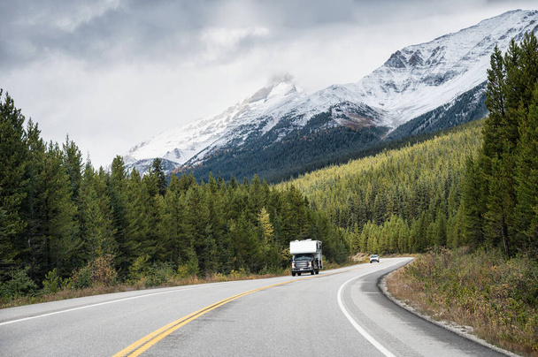 Поездка на машине Кампер по шоссе с скалистыми горами в сосновом лесу в национальном парке Банф, Канада - Фото, изображение