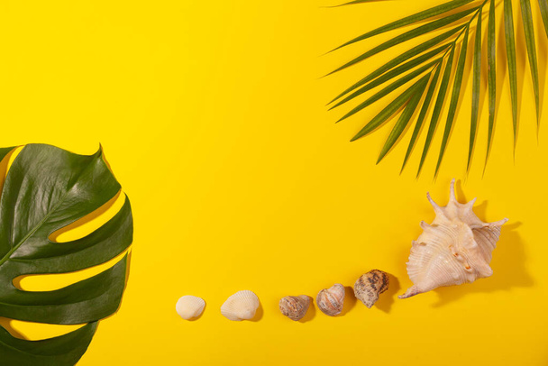 Top view on monstera and palm leaves with sea shells on yellow background. Concept of beach holiday, sea tour, warm sunny summer. Advertising space - Foto, immagini