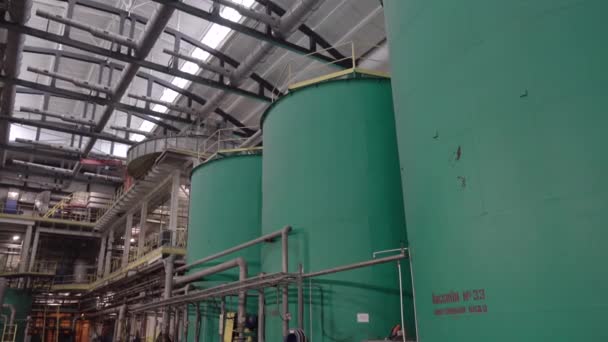 cardboard and paper mill shop. Processing of paper materials. - Footage, Video