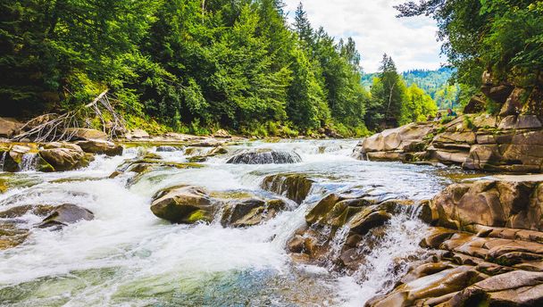 Mountain river with small waterfalls. Landscape with mountain river and trees, Yaremche, Ukraine - Foto, Imagem