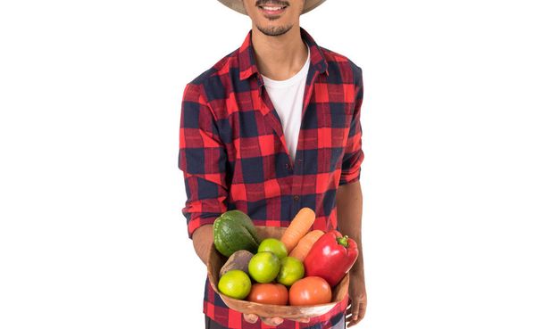 Farmer Midsection holding a basket of vegetables (carrot, lemon, tomatoes, chayote and beet) isolated in white background - Photo, Image