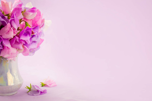 Солодкий горох різнокольоровий букет квітів
 - Фото, зображення