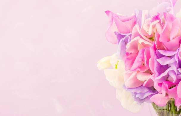 Μπιζέλια, πολύχρωμα λουλούδια - Φωτογραφία, εικόνα