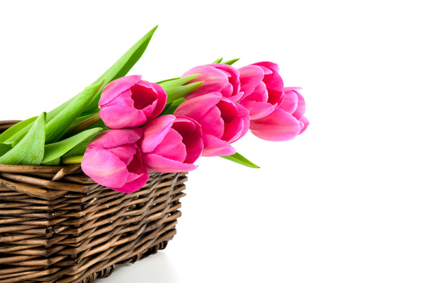 bouquet di tulipani rosa nel cestino
  - Foto, immagini