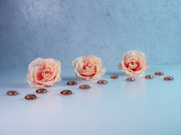 3 persikan värinen ruusuja rivissä tummanoranssi ruskea lasi tasainen marmorit valkoisella pinnalla kipsi tausta. Pehmeä ja elegantti heijastus vastaan valkoinen pinta. - Valokuva, kuva