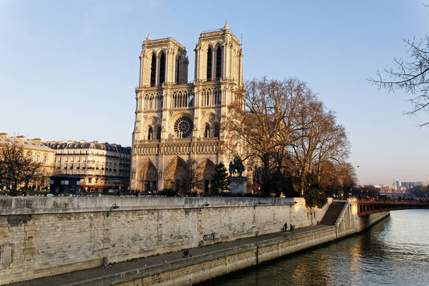 Katedrála Notre-Dame na Ile de la Cite - Paříž, Francie - Fotografie, Obrázek