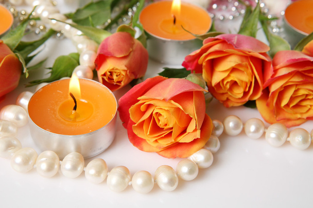 Fine roses and candles  - Photo, image