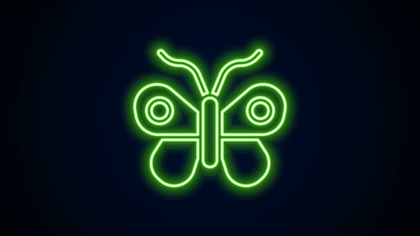 Gloeiende neon lijn Butterfly pictogram geïsoleerd op zwarte achtergrond. 4K Video motion grafische animatie - Video