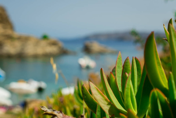 美しい夏の風景山、青い海、緑の木々。ギリシャ - 写真・画像