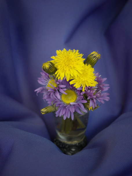   黄色のタンポポと紫色のカモミール - 写真・画像