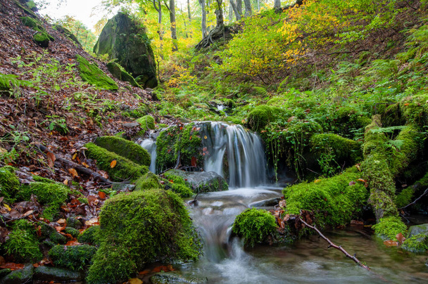 カルパチア山脈の秋の森を流れる素晴らしい滝の絵のような景色  - 写真・画像