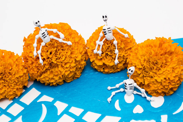 Giorno dei teschi messicani in miniatura morti su fiori di cempasuchil, decorazione divertente - Foto, immagini