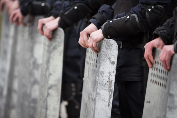 Riot police in Ukraine - Fotó, kép