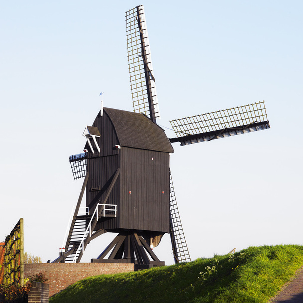 windmolen, Nederland - Foto, afbeelding