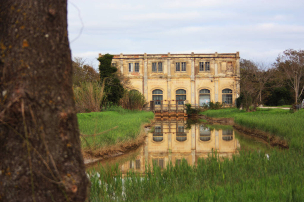 panorama naturel avec une ancienne structure industrielle l'ancien bâtiment d'assèchement sur la rivière Arno parmi l'herbe verte dans coltano pisa tuscany - Photo, image