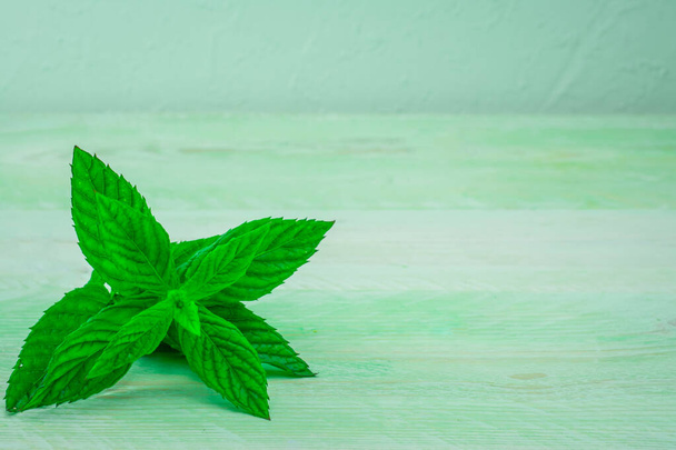 Bunch of fresh mint on the green background - Photo, Image