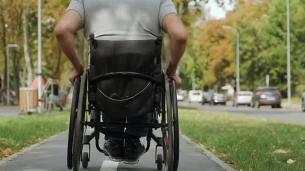 Hombre discapacitado en silla de ruedas caminar en el callejón del parque - Imágenes, Vídeo
