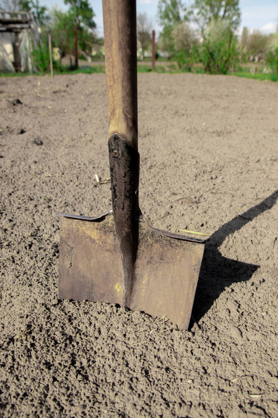 Creuser le sol printanier avec une pelle. Gros plan. Pelle sur le sol, concept de jardinage. - Photo, image