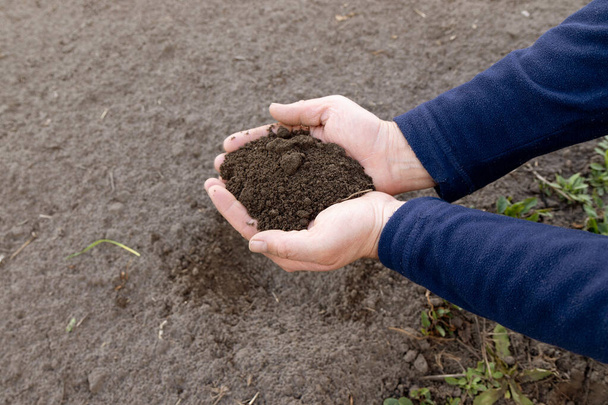 Fermier tenant le sol dans les mains gros plan. Vue d'en haut. Agriculture, jardinage. - Photo, image
