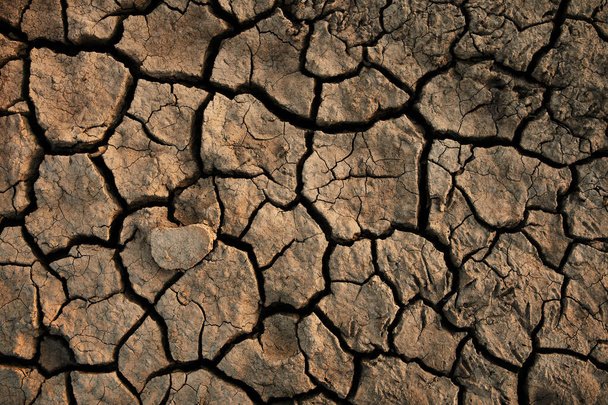 Soil cracked background. - Photo, Image