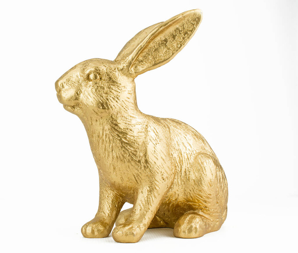 Большой золотой кролик на белом фоне - Фото, изображение