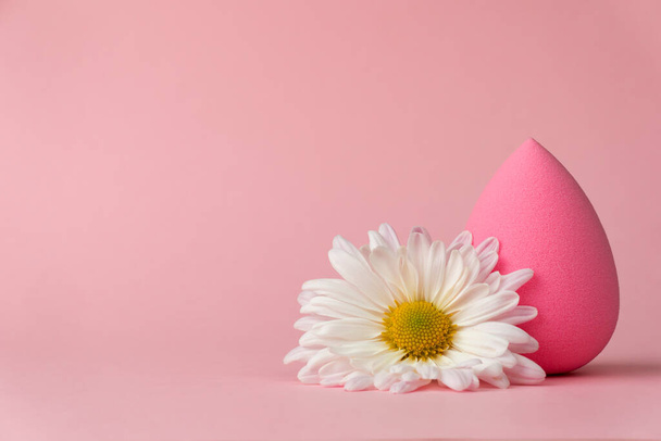 A sponge for applying makeup in the form of a drop or egg and a white chrysanthemum flower on a delicate pink background. - Фото, изображение