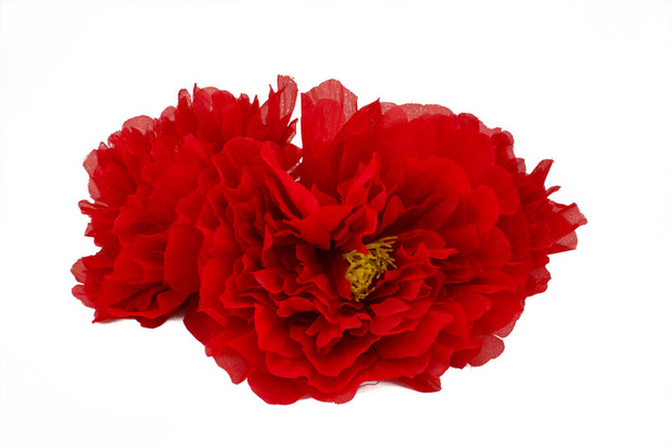 fleurs de pavot rouge sur fond blanc - Photo, image