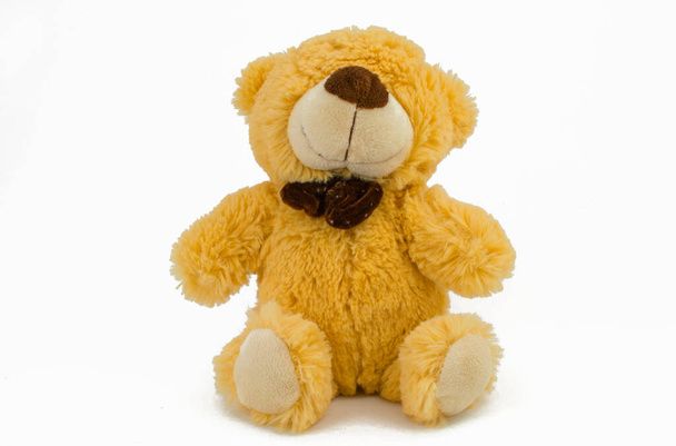 Stofftier-Teddybär auf weißem Hintergrund - Foto, Bild