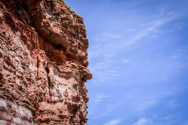 Budleigh Salterton mother off cliff and rock with seaweeds. UK. Britain - Photo, Image