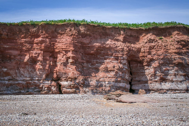 Budleigh Salterton matka z urwiska i skały z wodorostów morskich. Wielka Brytania. Wielka Brytania - Zdjęcie, obraz