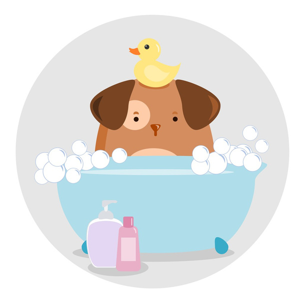 Perro tomando un baño
 - Vector, Imagen