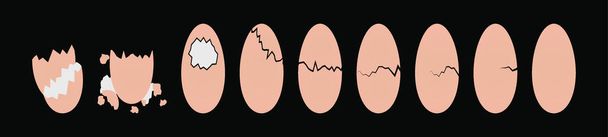 set gebarsten eieren cartoon pictogram ontwerp template met verschillende modellen. vectorillustratie geïsoleerd op zwarte achtergrond - Vector, afbeelding