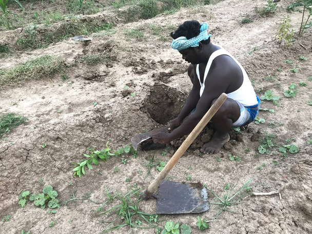 Siyahi bir adam tarımda çalışıyor. İleride ekilecek ağaçlar ve meyveler için. - Fotoğraf, Görsel