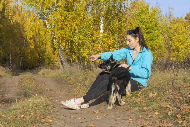 a girl walking with a dog in training outdoors in the autumn forest, the front and background are blurred with bokeh effect - Photo, Image