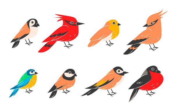 Winter birds. Collection of sparrow, bullfinch and tit, cardinal. Cartoon wild flying animals isolated on white. Forest creature, bright feather and plumage. Vector wildlife flat set - Vettoriali, immagini