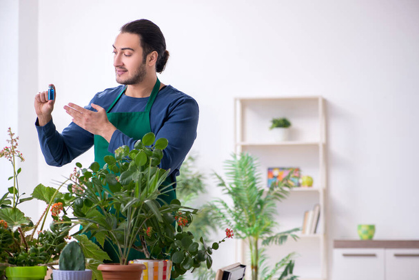 Young male gardener with plants indoors - Foto, imagen