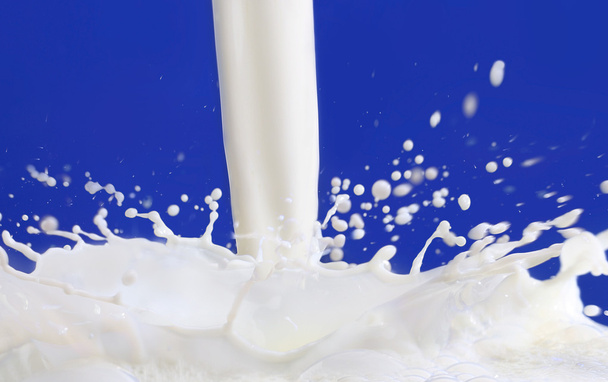 mleko płynie z niebieskim tle - Zdjęcie, obraz