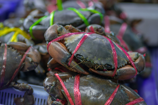 Crabes vivants prêts à cuire sur le marché thaïlandais
 - Photo, image