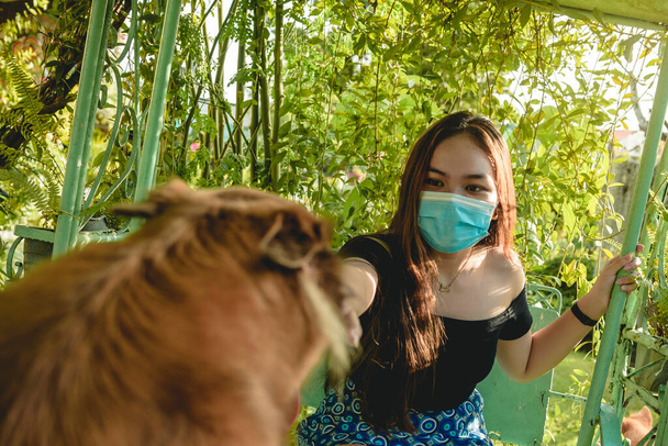Молодая филиппинка-подросток в хирургической маске и сидя на качелях, протягивает руку, чтобы погладить дружелюбную собаку с другой стороны. Новая нормальная концепция. - Фото, изображение