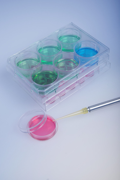 Labware plastico e pipetta automatica per la ricerca scientifica. Analisi biochimica della coltura cellulare
. - Foto, immagini