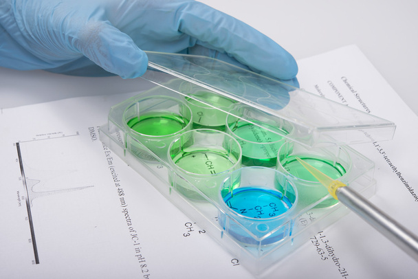 окрашивание клеточных культур в лаборатории биохимических исследований с использованием 6-скважин
 - Фото, изображение