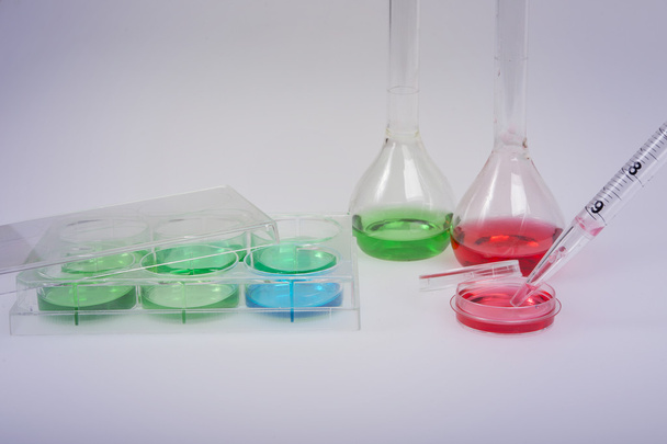 Coloração de culturas celulares em laboratório de pesquisa bioquímica usando placas de 6 poços
 - Foto, Imagem