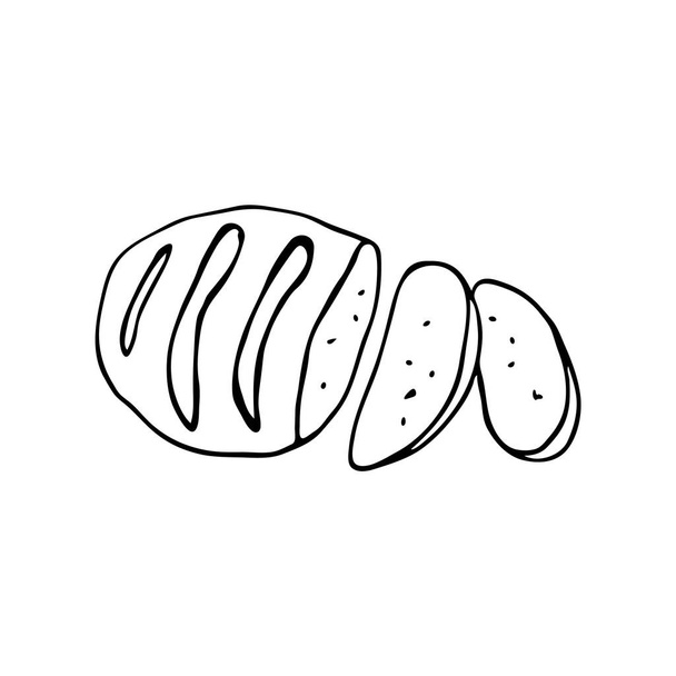 Doodle images of sliced round bread. An image of a hand-drawn food. Vector for web, print, textile. - Vektor, obrázek