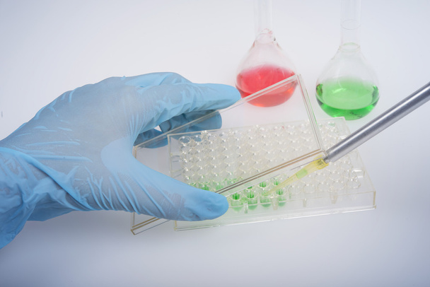 Cultivos celulares en laboratorio de investigación bioquímica con placas de 96 pocillos
 - Foto, Imagen